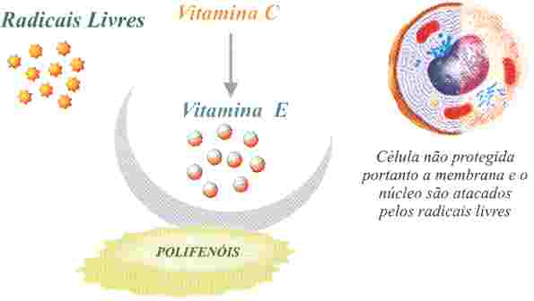 Redevet inibicao LDL