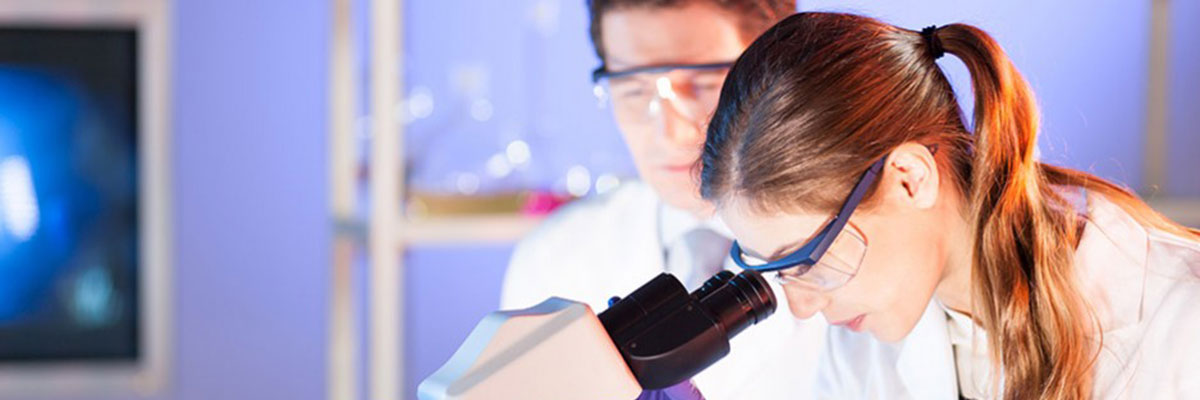 Redevet centro de pesquisa