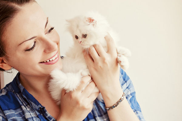 redevet gato ama dono curiosidade